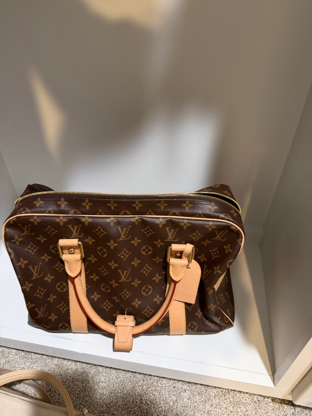 Louis Vuitton Monogram carryall bag